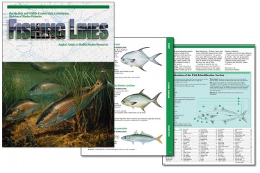Florida DEP Fishing Lines Magazine