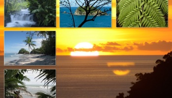 nature