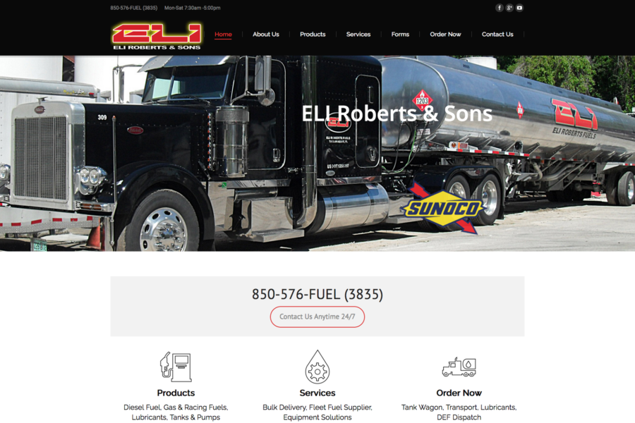 ELI and Sons Website